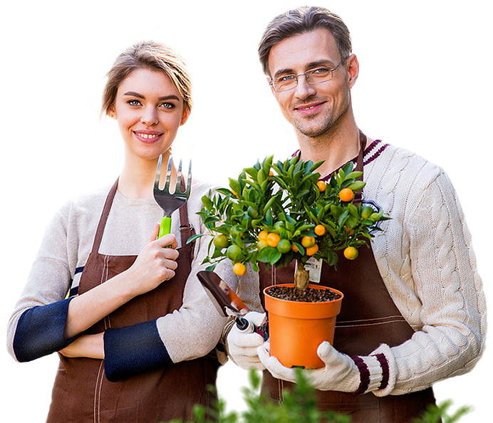 Благоустройство участка