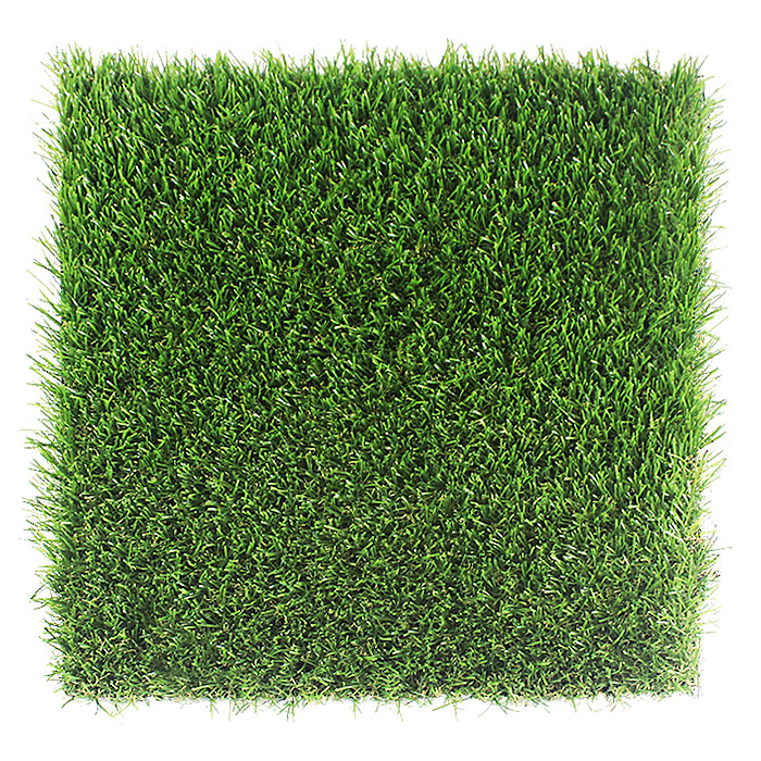 Газон “Люкс”