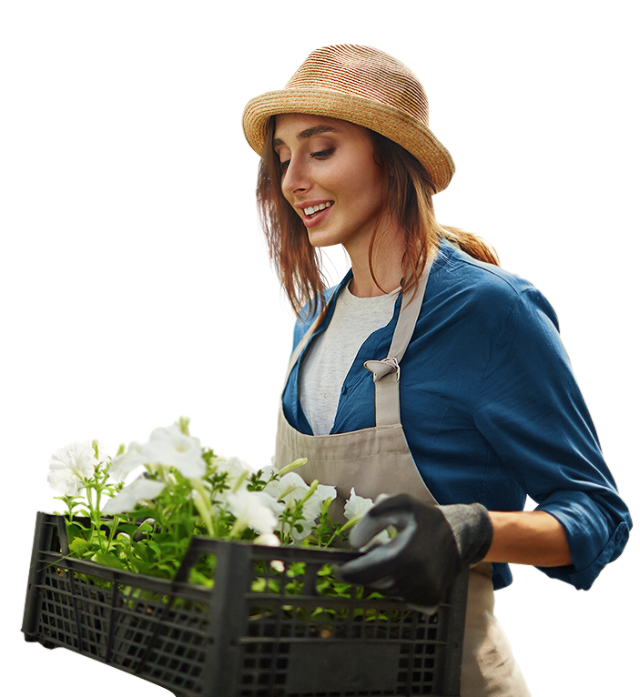 Ландшафтный дизайн<br> под ключ