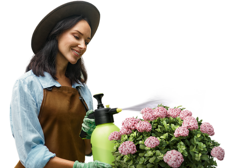 Новые дизайнерские решения <br> в благоустройстве участка